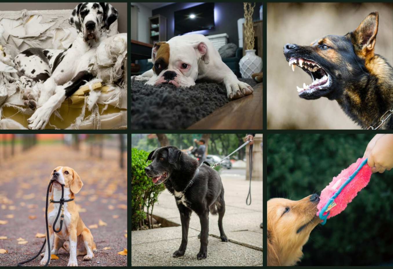 Cours individuels - 1h