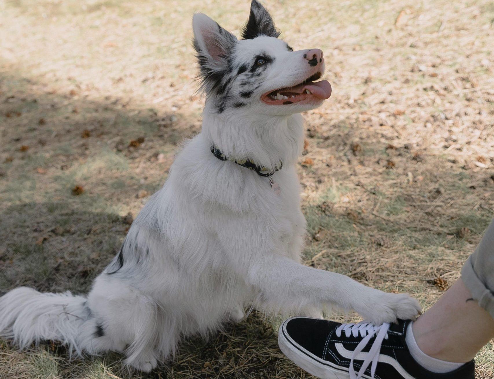 Stage d'Obérythmée